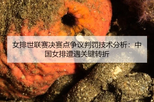 女排世联赛决赛点争议判罚技术分析：中国女排遭遇关键转折