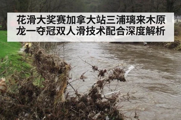 花滑大奖赛加拿大站三浦璃来木原龙一夺冠双人滑技术配合深度解析